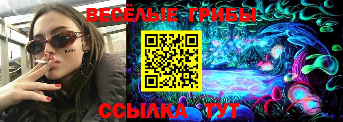 Нягань  Псилоцибиновые грибы Psilocybe  сколько стоит  Вход с VPN 